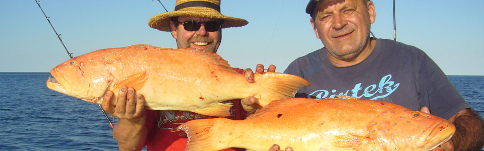 Kona Deep Sea Fishing Charters