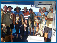 kona charters great barrier reef