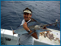 kona charters great barrier reef