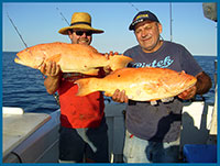 pearl bay fishing