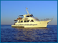 peral bay charters