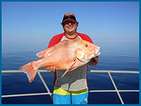 coral reef fishing