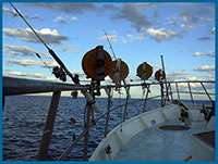 qeensland coast charters